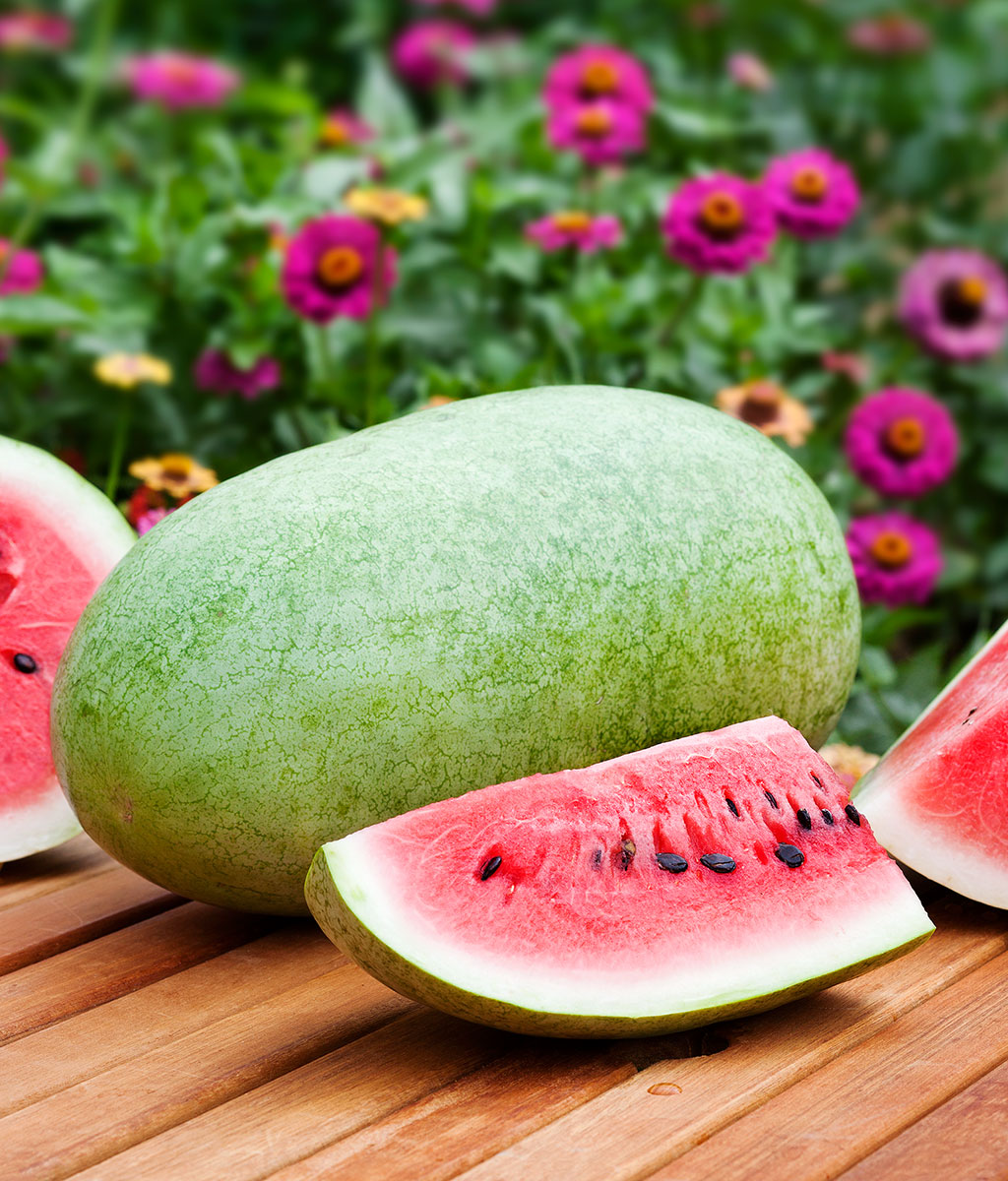 charleston-gray-watermelon