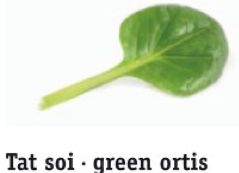 greenortis