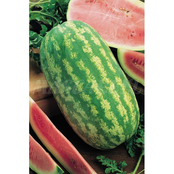 watermelon-klondike-rs-57